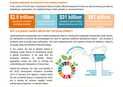 Blended Finance For Development