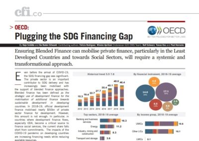 OECD: Plugging the SDG Financing Gap