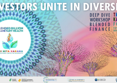 THK Forum “Investors Unite In Diversity” Blended Finance Deep Dive Workshops (full documentation)