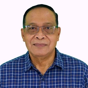 IR. W. BUDI SANTOSO, DIPL, HE