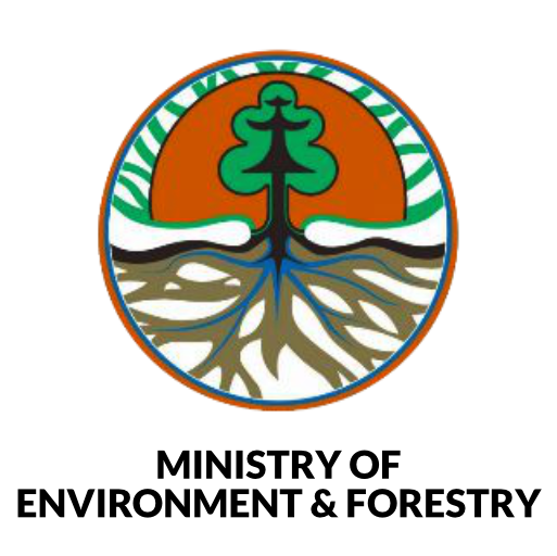FORESTRY ENVIRONMENT