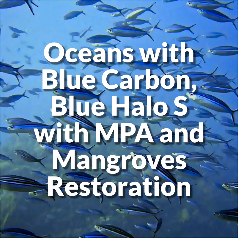 Oceans with Blue Carbon, Blue Halo S with MPAs and Mangrove Restoration
